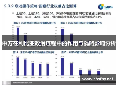 中方在利比亚政治进程中的作用与战略影响分析
