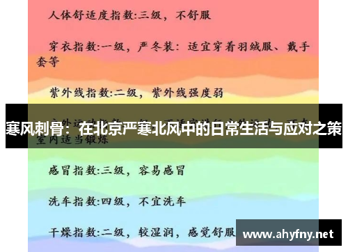 寒风刺骨：在北京严寒北风中的日常生活与应对之策