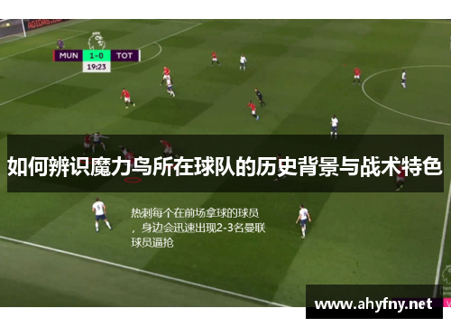 如何辨识魔力鸟所在球队的历史背景与战术特色