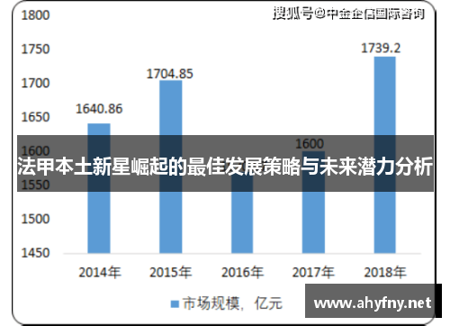 法甲本土新星崛起的最佳发展策略与未来潜力分析
