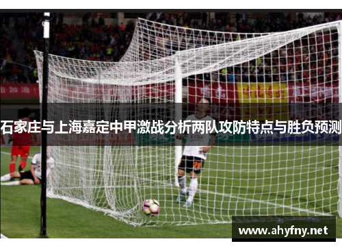 石家庄与上海嘉定中甲激战分析两队攻防特点与胜负预测